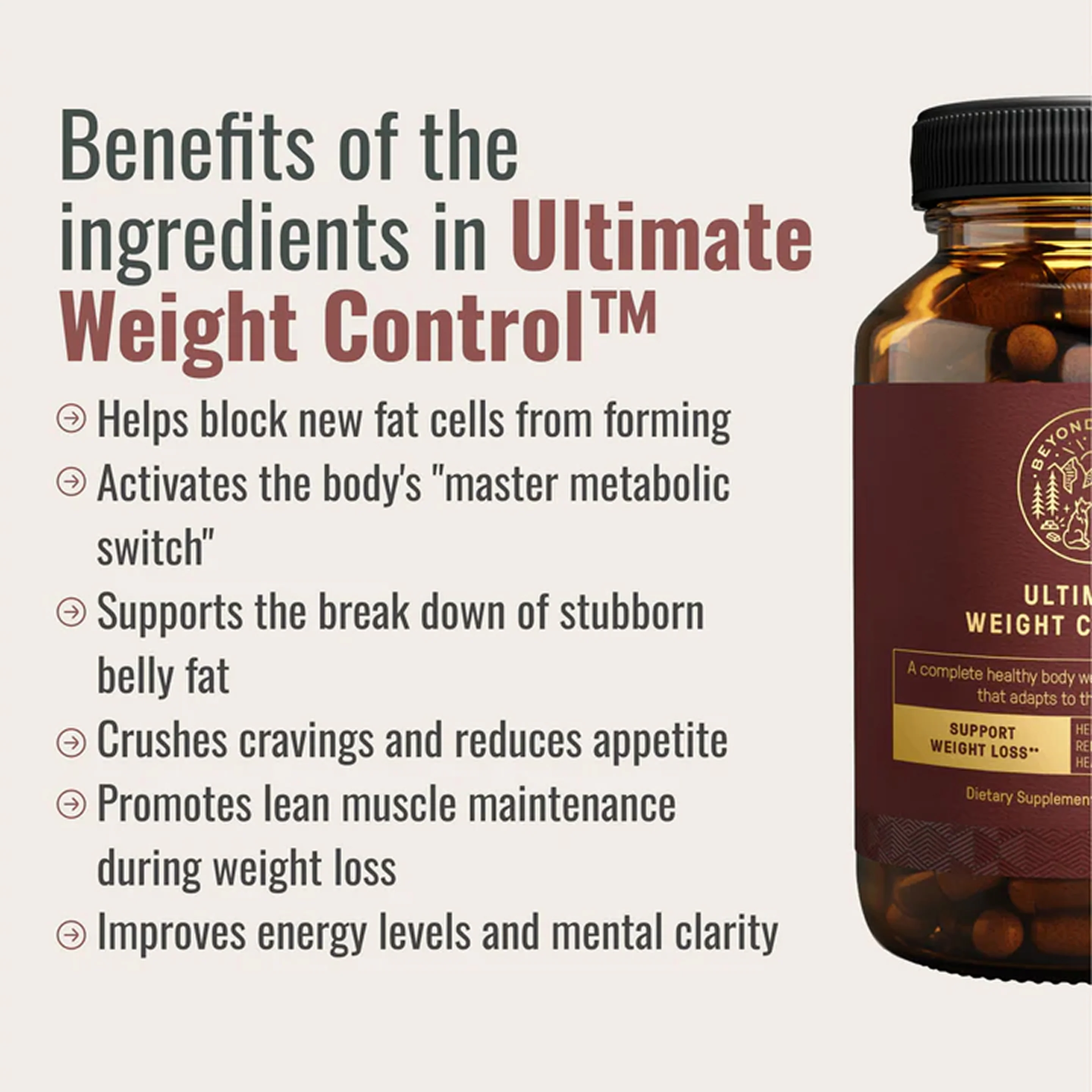 The Dream Body Stack™ - Image 7