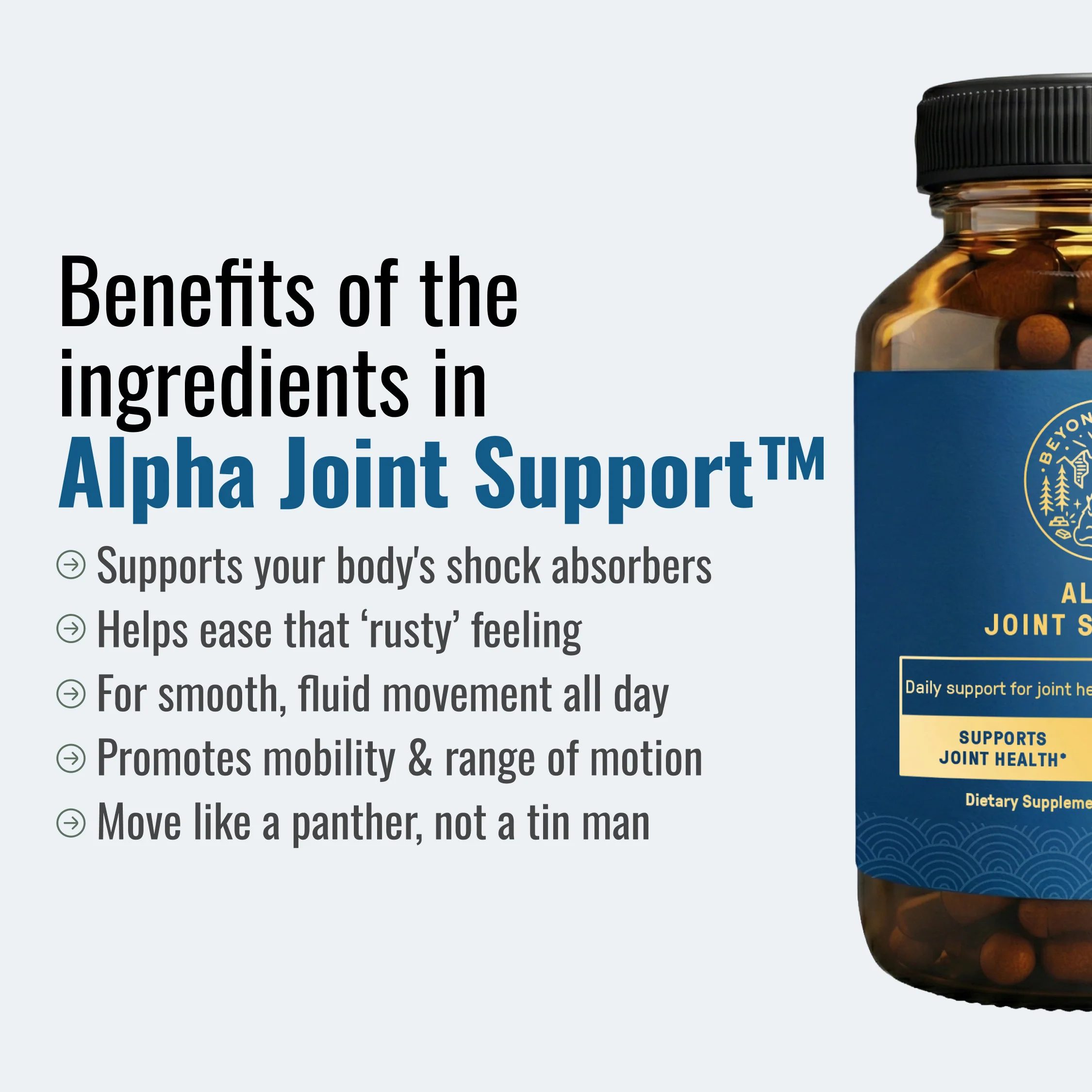 Alpha Joint Support - Image 3